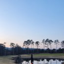 조이헤어클럽 | 솔모로cc 퍼시먼,체리코스 라운드 후기