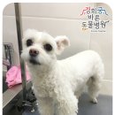 경희궁바른동물병원 이미지