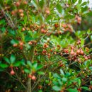 을숙도 철새공원 이미지