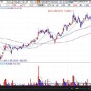 [ 동국산업-증권정보채널] 2009년 6월1일 동국산업(005160) 분석 ,투자전략 이미지