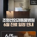 조형선외과동물병원 이미지