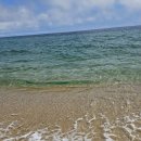 바다정원 이미지