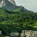 파라스파라 서울 이미지