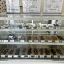 시원애견간식 이미지