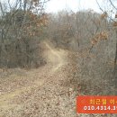 금대리828 이미지