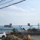 대중바다식당 | 해운대 맛집 청사포 맛집 올바릇식당 청사포점 N차 방문 후기