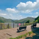 밀양호전망대 이미지