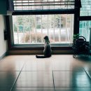 멍멍키친 이미지