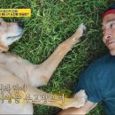 다니엘 농장 이미지