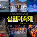2025 얼음나라 화천 산천어 축제 : 얼음위의 모험과 즐거움
