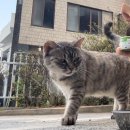 조촌세계로약국 | 8