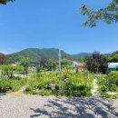 들꽃여울캠핑장 이미지