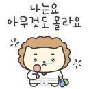 해솔태권도 이미지