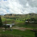 Taumarunui 가는 열차 안에서 바라본 가을 풍경입니다.오클랜드 한인 트램핑 클럽에서 퍼 옵니다. 이미지