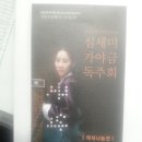 심새미 가야금 독주회 Daum카페