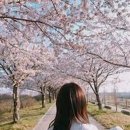 꿀밤PC 이미지