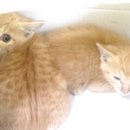 잠원동016 이미지