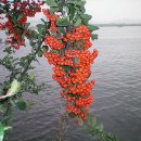 엄마와아들 이미지