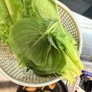 돌미상업로 | 대구 옥포 막창 맛집｜1977 동성막창 흑돼지 오겹살·목살 솔직후기