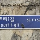 매향4리 Daum카페