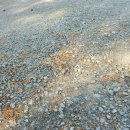 장애인복지회관 건너편 이미지