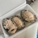 신화상회 이미지