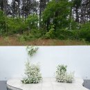 모든장식 이미지