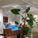 자매제과 서곡점 이미지