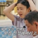 감탄식혜