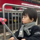 글로벌인 동대문 시티데이즈 인 | 27개월 아기랑 서울 나들이! JW메리어트 딸기뷔페 살롱드딸기