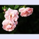 곡성-075 이미지