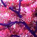부원건어물 | 『애니 추천』 일상 애니 30선 - 中