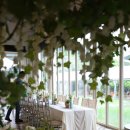 펜션웨딩 야외웨딩 웨딩홀 모두 가능한 펜션 결혼식 장소 이미지