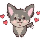 멍.슈슈 이미지