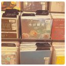 숙녀코너 이미지