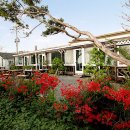 간월도 노을펜션 이미지