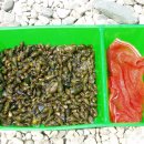 의성초등학교 이미지