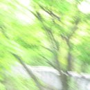 사생결단푸드 Daum카페