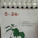 뚜르드퐝소호텔 | 나 혼자 포항_1