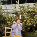 외딴농장 이미지