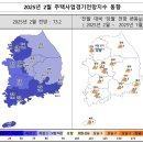 투데이부동산뉴스-02~20 이미지