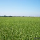 미정농장 이미지