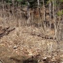 숲고을농장 이미지