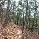 충청도양반길(3코스) | 괴산 충청도양반길 2코스 트레킹 후기(3월)