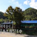 송이푸드 이미지