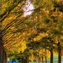 보성군청 이미지