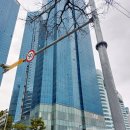 스타벅스 해운대동백 | 스타벅스 해운대동백점 해운대스타벅스 오션뷰 신메뉴