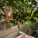 비비안네 사랑채 | &lt;그랑핸드&gt; 서촌 핫플, 그랑핸드 제품추천, 완벽정리