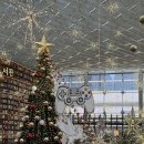 향기나무도서관 | 서울 스타필드 코엑스몰 별마당도서관 크리스마스 트리명소
