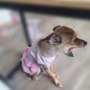 드럭스토어동행약국 이미지